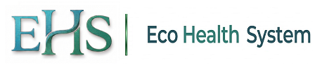 eHealths